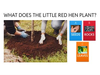 The Little Red Hen - MULTIPLE CHOICE