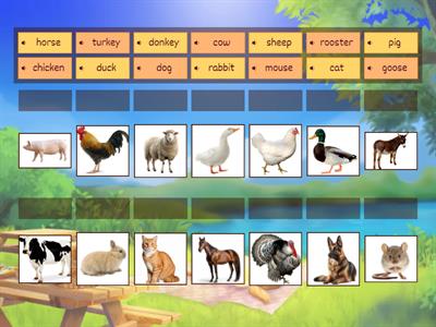 Domestic animals BASIC English A1