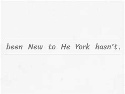 Present perfect (make a sentance)