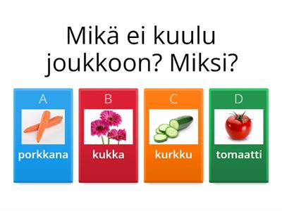 Mikä ei kuulu joukkoon? Miksi?