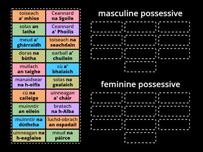 Possessive case 1 - definite nouns: masculine or feminine?