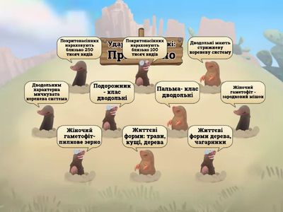  Покритонасінні