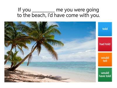  Third Conditional Quiz