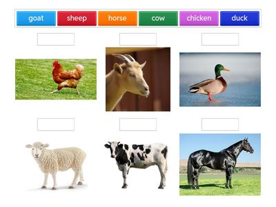 Beehive starter unit 3