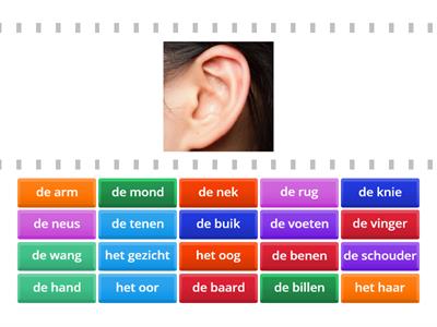 TC A1 thema 5 -  Het lichaam