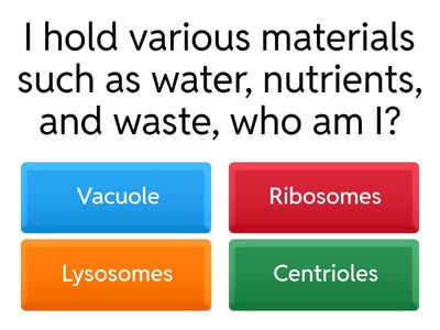 Cell Strucutre and Function