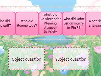 Object and subject questions