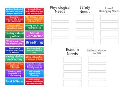 Maslow's Hierarchy Of Needs Sort