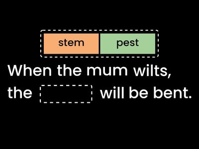 Sentence Fill in the Blanks