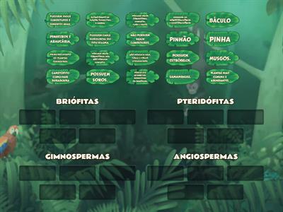 GRUPOS DE PLANTAS