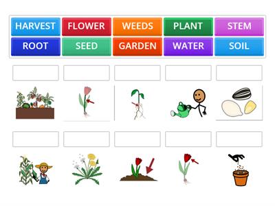Garden Vocabulary