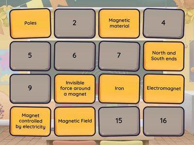 Magnet Master Challenge!