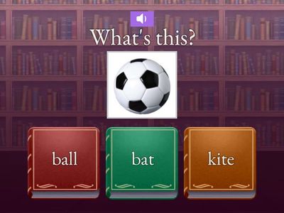 EAL Toys Multiple Choice