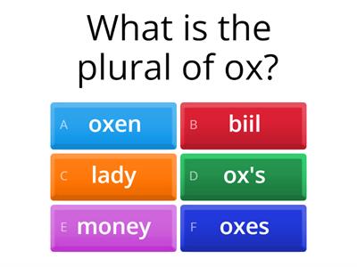 plural noun quiz
