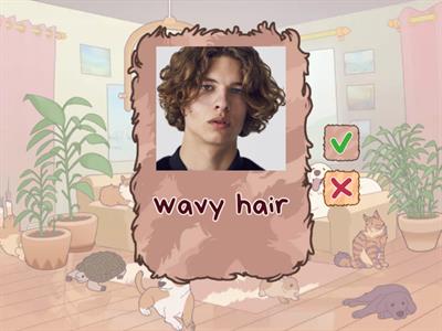 зовнішність 