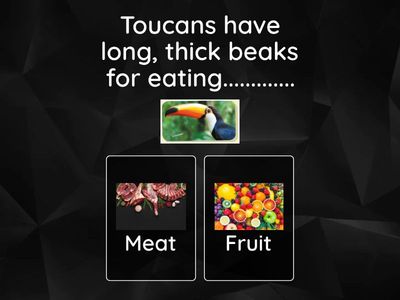 Cambridge Science Skills 4. Unit 3: Birds and Reptiles.