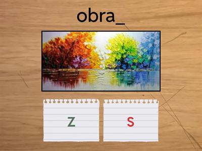 Párové souhlásky Z x S