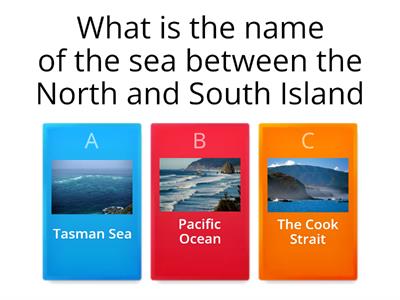 Wellington NZ Quiz 