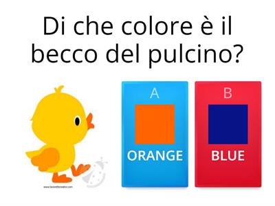 LA SETTIMANA DEL PULCINO COLORI