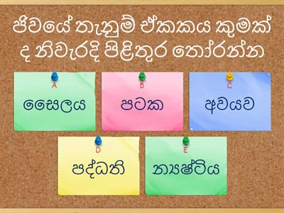 Grade 10 science    S.D.S.Kumari