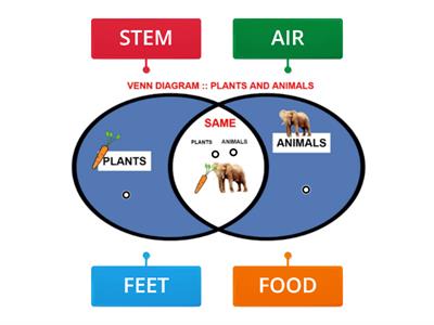 PLANTS AND ANIMALS BASIC NEEDS