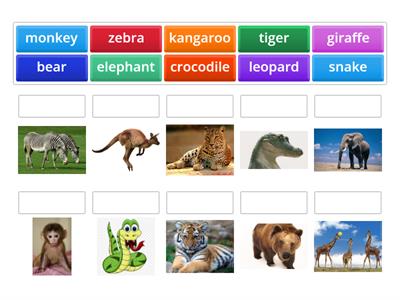 Animals Prepare 5