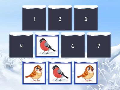 Найди пару. Зимующие птицы