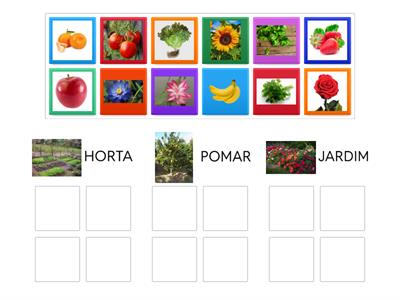 HORTA, POMAR OU JARDIM 
