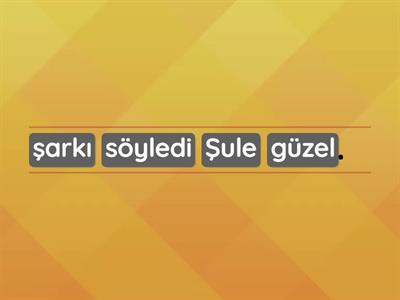 ''ş '' sesi anlamlı ve kurallı cümle yazma 