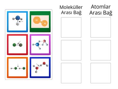 Kimyasal Türler Arası Etkileşimler