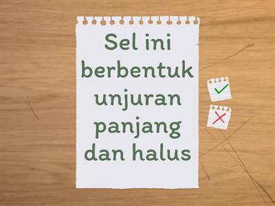 2.3 Proses Hidup Organisma Multisel Part I