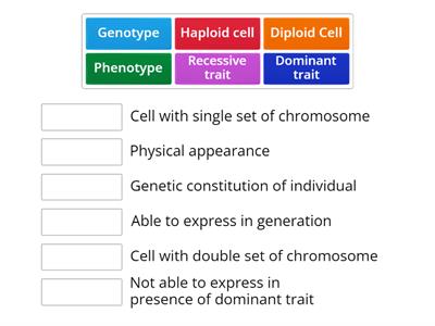 Some basic terms of genetics