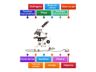 Microscópio ótico