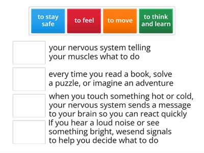 Nervous System K3 1st Period