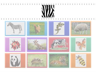 Percepción visual con animales