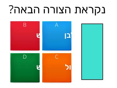 2 מלבן שטח והיקף