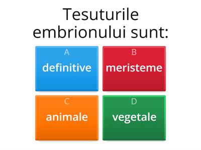 Tesuturi- Biologie, clasa a X.a