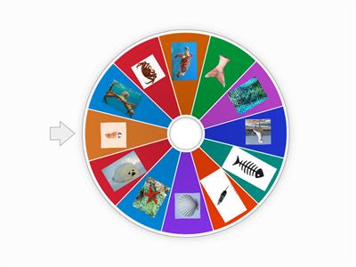 Sea animals bingo