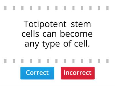The Cell Cycle - true and false