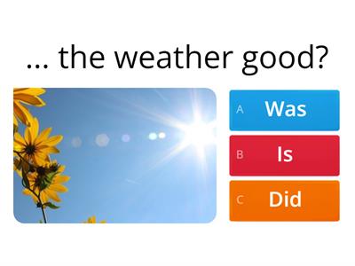 Past Simple - questions