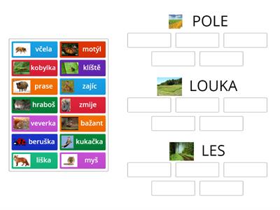 Pole, louka, les