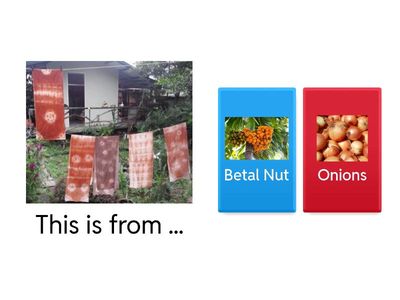 G1 天然染Natural Dye