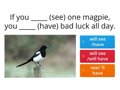 P4 16.3 ex6 first conditional Quiz