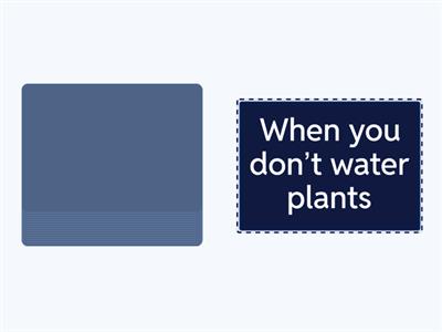 0, 1st, 2nd conditional