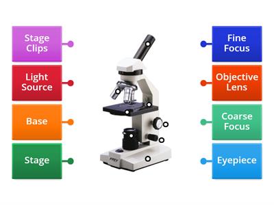 FFynone house- Y7 Light Microscope labelling