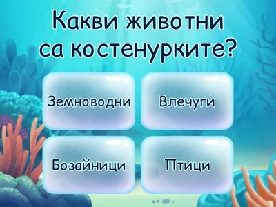 🐢 QUIZ – „Костенурките“