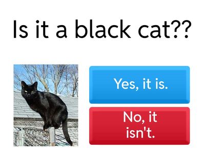 Verbo to be: interrogative form