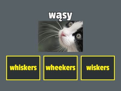 bugs team 3 unit 2 vocabulary gameshow quiz