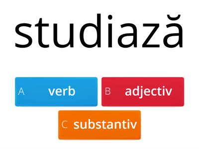 Verb, substantiv sau adjectiv? - Echipa 2