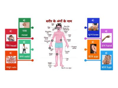 Hindi body parts 